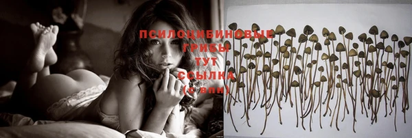 эйфоретик Алексеевка