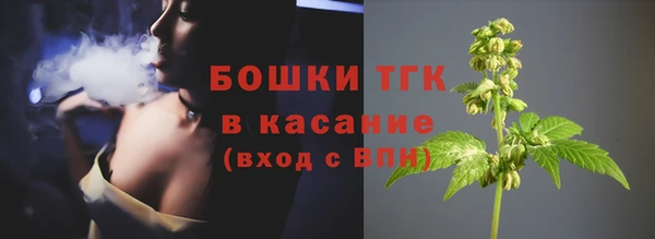 бошки Алексин