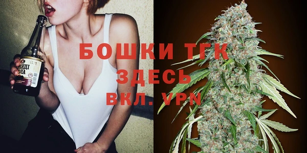 бошки Алексин