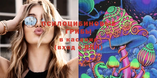 эйфоретик Алексеевка