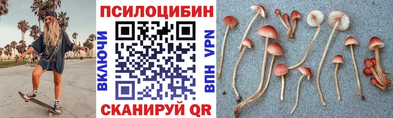 Галлюциногенные грибы Magic Shrooms  Белоярский 